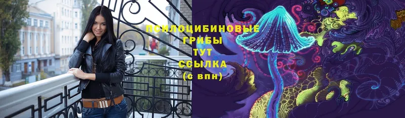 Псилоцибиновые грибы GOLDEN TEACHER  Белогорск 